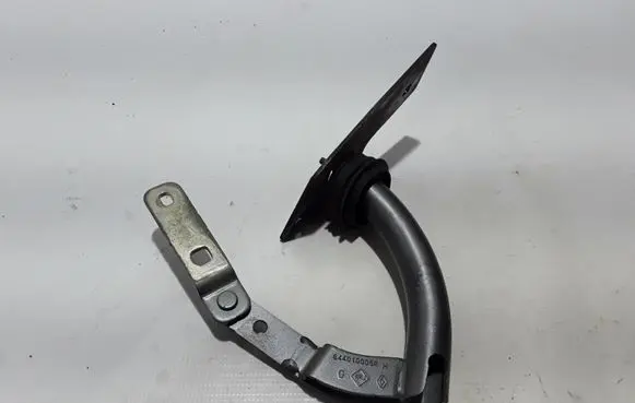 Renault Laguna III Tailgate/trunk/boot hinge 844010005R
