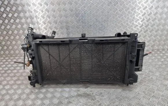 Nissan Leaf I (ZE0) Radiator set 214813nl1b