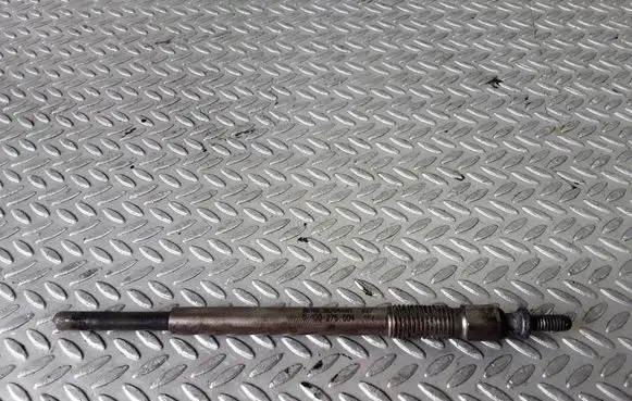 Peugeot 307 Glow plug 0100276004