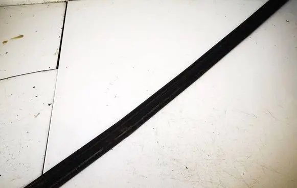 Toyota Corolla Verso E121 Front door glass trim molding 