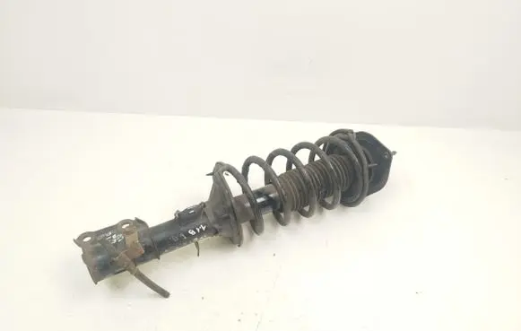 Hyundai Getz Front shock absorber with coil spring 546601C300