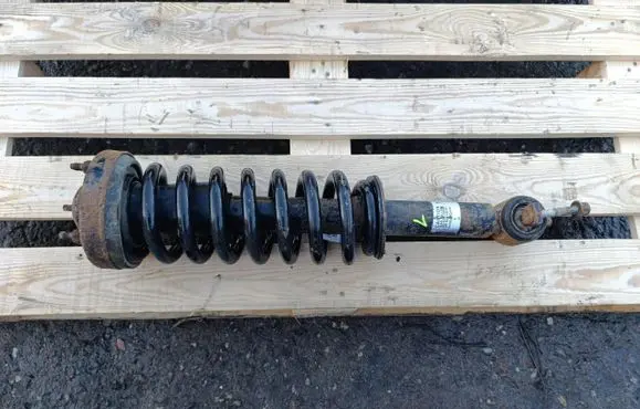 Ford F150 Front shock absorber/damper