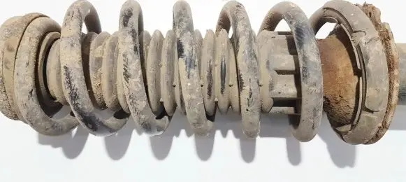 Citroen C5 Rear coil spring