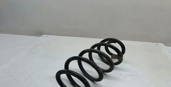 Rear coil spring