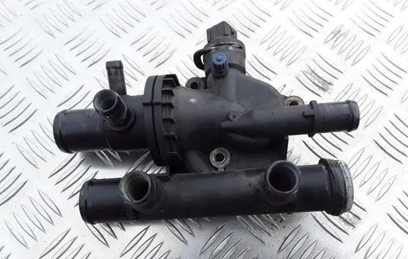 Thermostat/thermostat housing