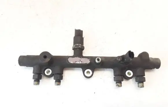 Peugeot 406 Fuel main line pipe 0445214010 0281002283