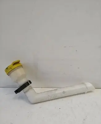 Renault Megane III Window washer liquid tank fill tube 289150003R