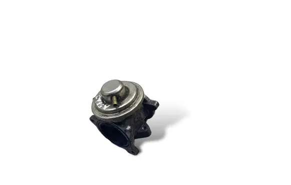 Skoda Fabia Mk1 (6Y) EGR valve 045131501K V100 184909032