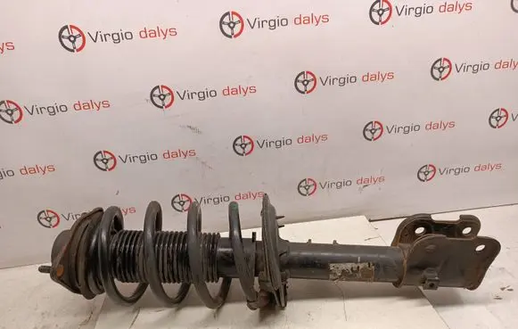 KIA Sorento Front shock absorber with coil spring 546512w750