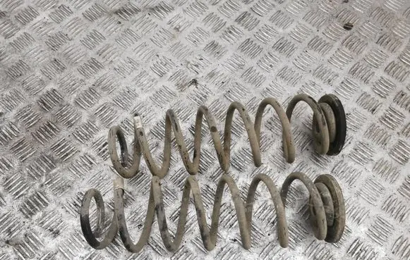 Rear coil spring