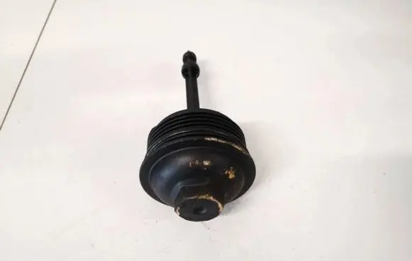 Volkswagen Tiguan Oil filter cover 72341968