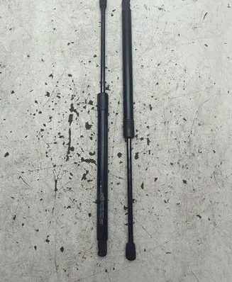 Tailgate strut