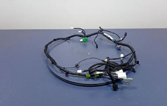 Other wiring loom