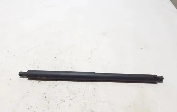 Tailgate strut