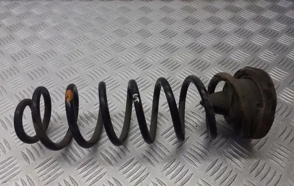 Renault Megane II Rear coil spring