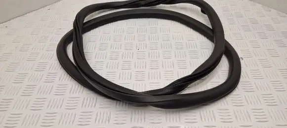 DS Automobiles 4 II Rear door rubber seal (on body) 