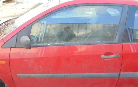 Ford Fiesta Front door