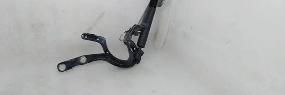 Tailgate/trunk/boot hinge