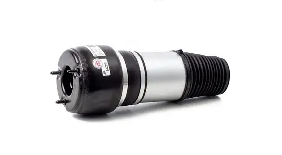 Mercedes-Benz CLS C219 Front air suspension shock absorber 219320111380 A2113209313 2113209313