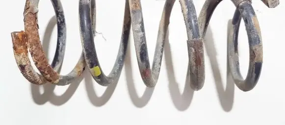 Chevrolet Tacuma Rear coil spring