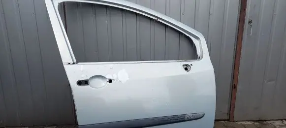 Renault Megane II Front door