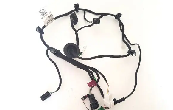 Other wiring loom