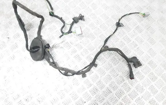 Volvo XC60 Other wiring loom 30798843