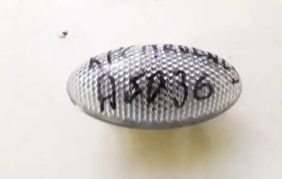 Front fender indicator light