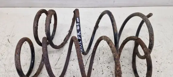 Front coil spring