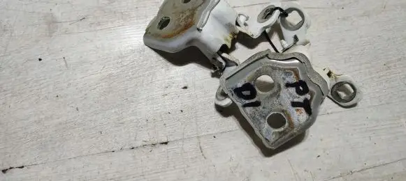 Dacia Duster Rear door hinge set 094512223r