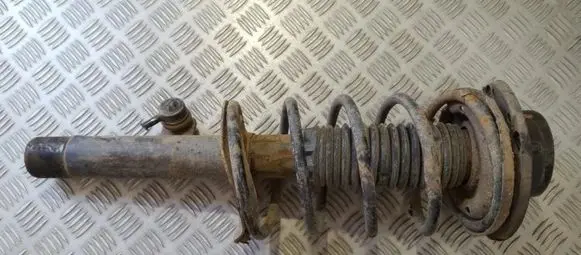 Peugeot 206 Front shock absorber/damper