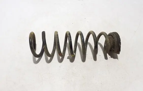 Rear coil spring