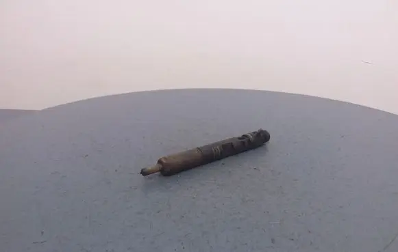 Renault Megane III Fuel injector 8200057225