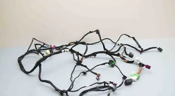 Other wiring loom