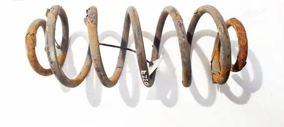 Rear coil spring