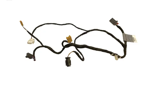 Rear door wiring loom