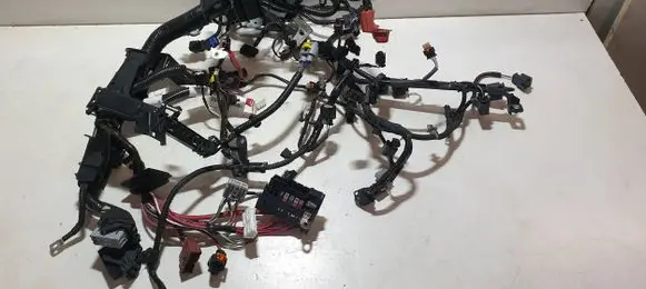 Dacia Jogger Other wiring loom P240111982S 3148