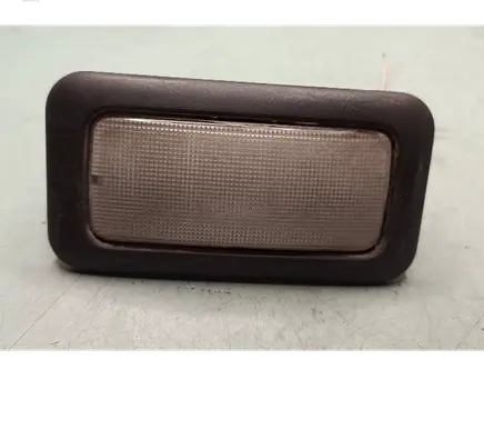 Fiat Ducato Rear seat light 08896002