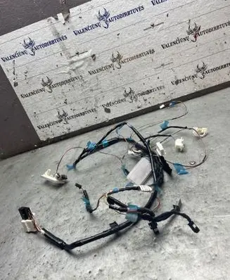 Toyota Corolla E210 E21 Other wiring loom 82171F2190 094233 20201208