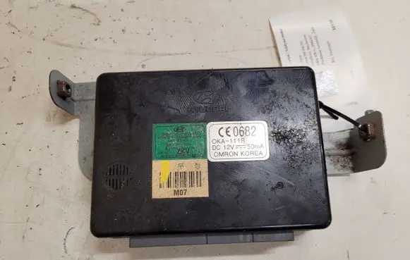 Hyundai Tucson JM Other control units/modules 954002E210