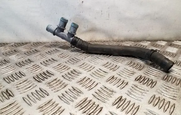 Nissan Juke I F15 Engine coolant pipe/hose 2029223