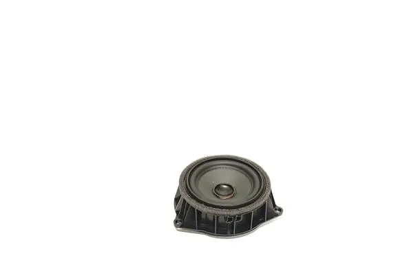 Rear door speaker