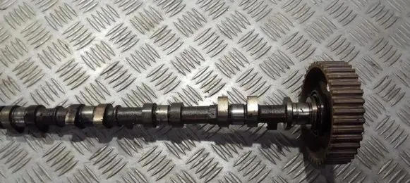 Ford Focus Camshaft l913b