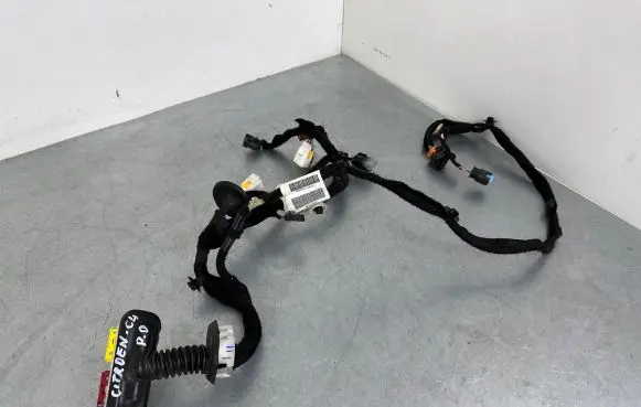 Citroen C4 SpaceTourer Front door wiring loom 9816324680