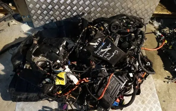 Mercedes-Benz E W213 Wiring harness 