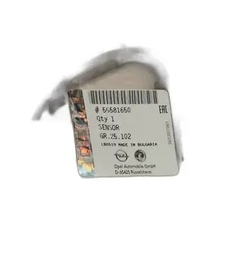 Opel Corsa E Exhaust gas temperature sensor 55581650