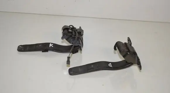 Tailgate/trunk/boot hinge