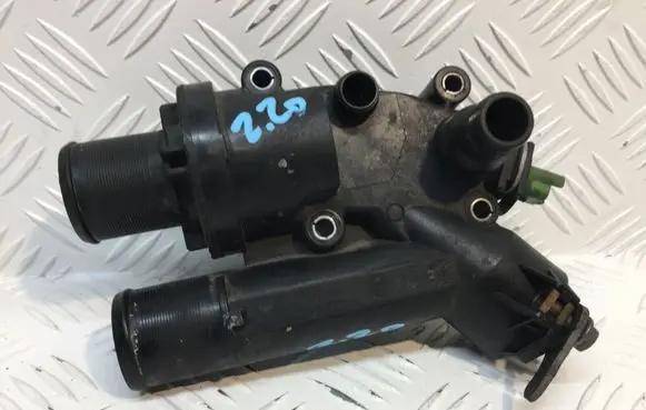 Thermostat/thermostat housing