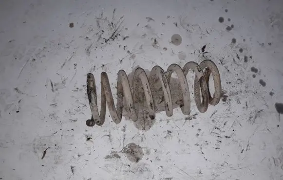 Hyundai Trajet Rear coil spring NOCODE