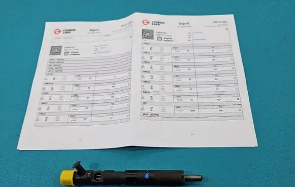 Renault Megane II Fuel injector EJBR05102D IMPRK1439382